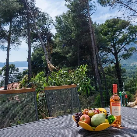 Apartment Ferienwohnung Fuer 7 Personen Ca 90 Qm In Stankovic Bei Orebic, Dalmatien Sueddalmatien *